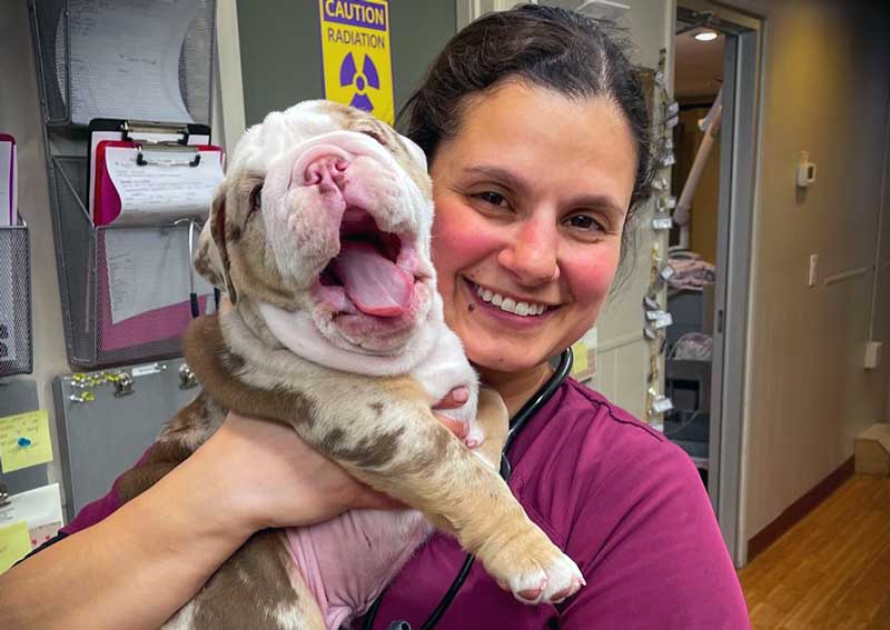 Carousel Slide 6: Puppy veterinary exams