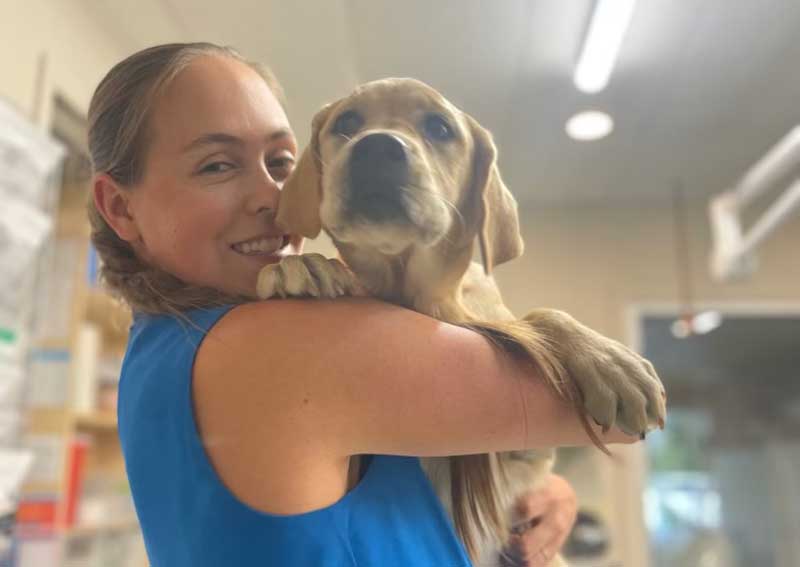 Carousel Slide 8: Puppy care