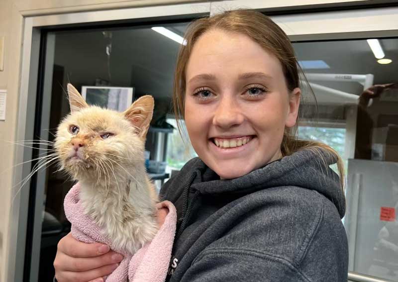 Carousel Slide 7: Sick animal care