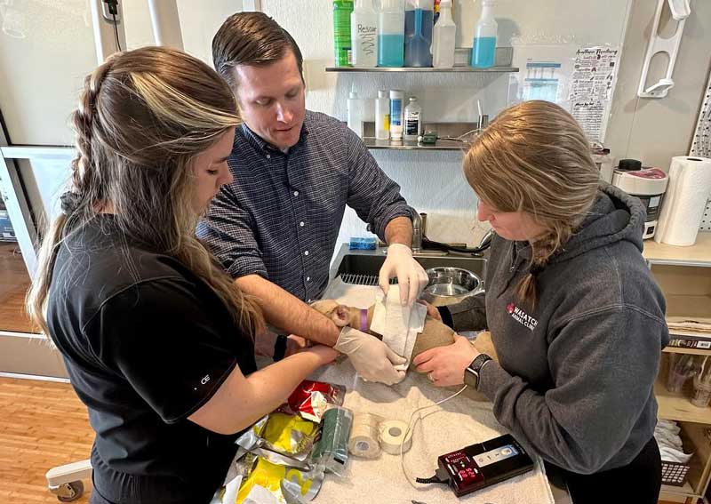 Carousel Slide 5: Urgent veterinary care