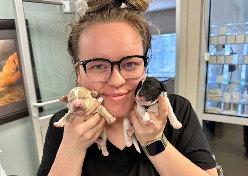 Carousel Slide 4: Pet wellness care for all ages